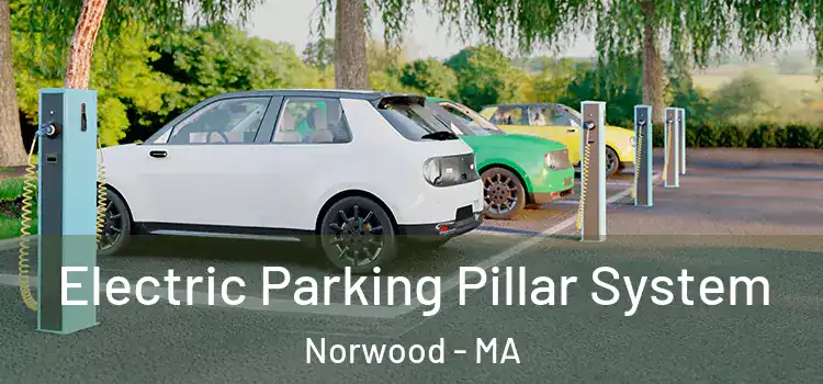 Electric Parking Pillar System Norwood - MA