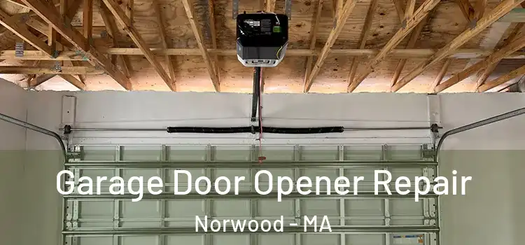  Garage Door Opener Repair Norwood - MA