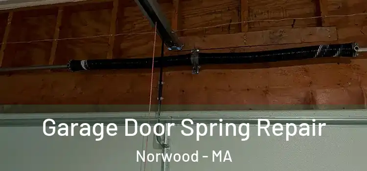  Garage Door Spring Repair Norwood - MA