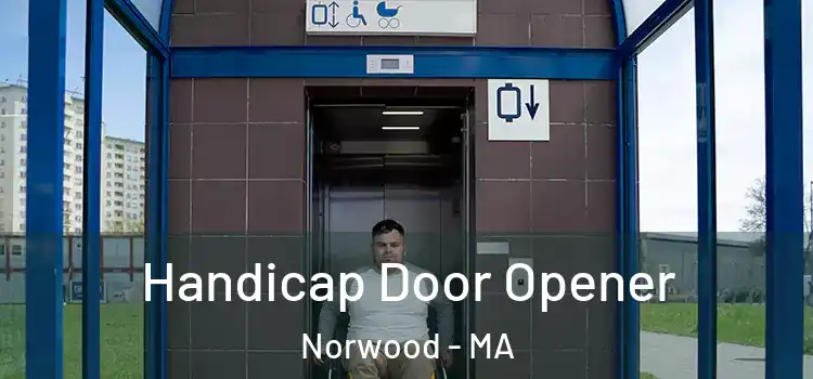  Handicap Door Opener Norwood - MA