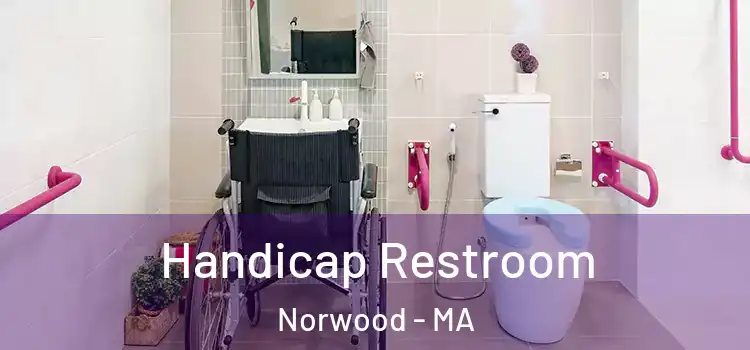 Handicap Restroom Norwood - MA