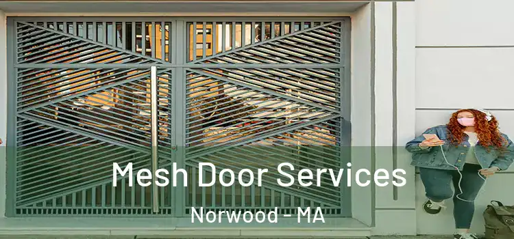  Mesh Door Services Norwood - MA