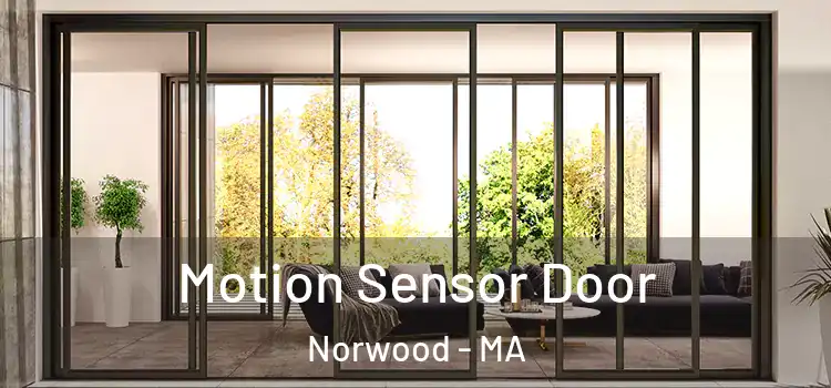  Motion Sensor Door Norwood - MA