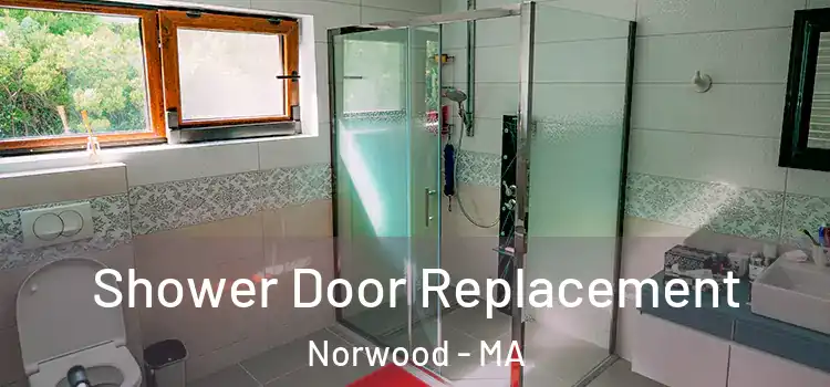  Shower Door Replacement Norwood - MA