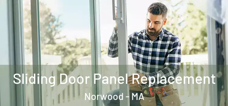  Sliding Door Panel Replacement Norwood - MA